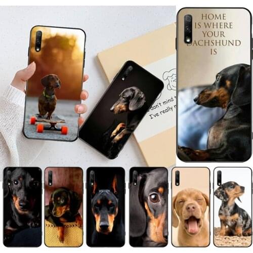 Cute Animal Dachshund Dog Puppy Black TPU Soft Phone Case Cover for Huawei Honor 30 20 10 9 8 8x 8c v30 Lite view pro