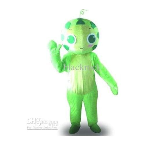 Hot sale 2017 Adult New high quality watermelon mascot costumes cartoon Halloween costume
