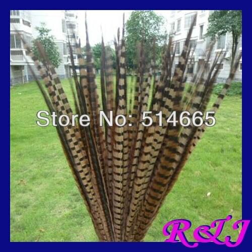 EMS Free Shipping 100pcs/lot ringneck pheasant Feather tail natural pheasant tail feather 22-24 inches 55-60cm