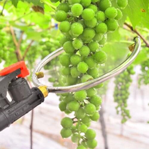 Agricultural Fruit Promoting Tools Pesticide Sprayer Grape Kiwi Swelling Raise Yield Ultra Fine Mist Nozzle High-Pressure