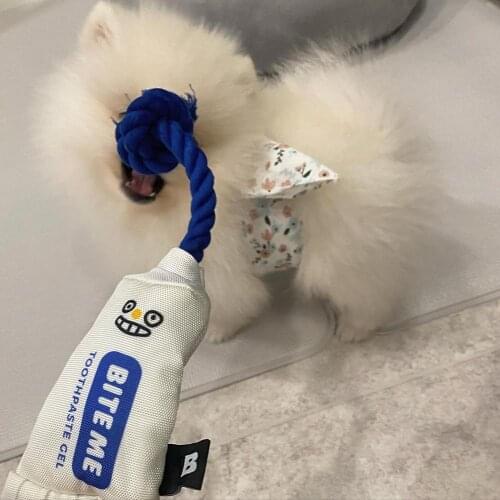 Ins hot style Korean toothpaste toy Dog Plush Toy Plush Food Dog Toy With Funny Sound Cat Puppy Chew Interactive Toys