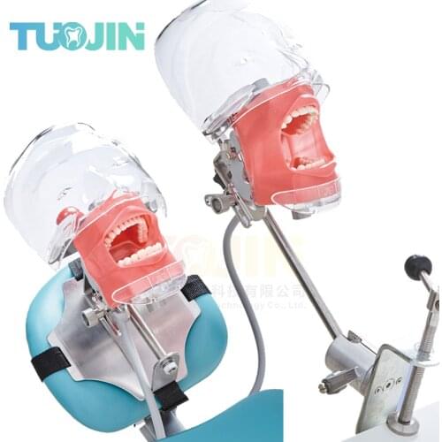 Simple Head Model Dental Simulator Phantom Head for Dentist Education Dentist Teaching /Head Model Phantom for Training Apparatu