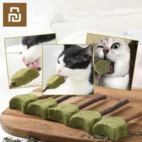Pet Products Cat Mint Toothpaste Stick Catnip Natural Mutian Stick Catnip Lollipop Cats Kittens Chewing Bite Snacks