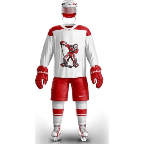 Cool hockey ice hockey jerseys with team logo accept custom name and number H6100