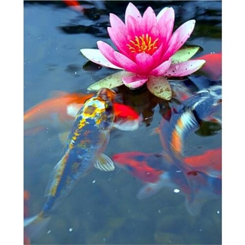 DIY Diamond Painting Carp and flower full drill Mosaic Diamond Painting fish koi pattern Cross Stitch Embroidery Home Decorative