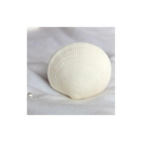 3D Shell silicone fandont mold Shell Silica gel moulds Shells Chocolate molds Shells candy mould silicone molds