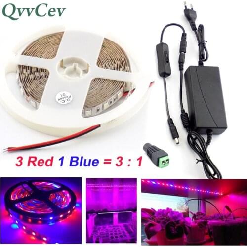 Qvvcev Waterproof Led Strip Grow Light Growing Plant Lamp 3 Red 1 Blue lights 2M 3M 5M DC12V 2A/3A SMD5050 Power Adapter+Switch