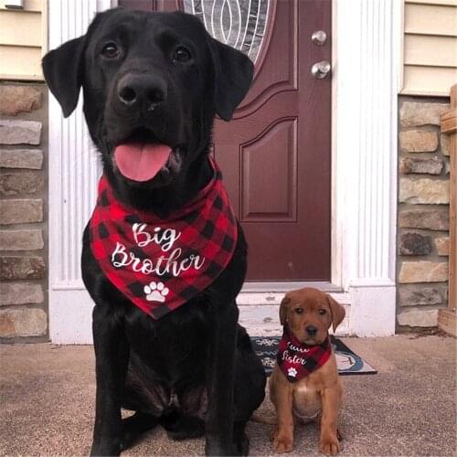 Big Brother Big Sister Dog Bandana Cotton Collar Neckerchief Custom Announcement Plaid Dog Bandana Personalized Puppy Dog Gift