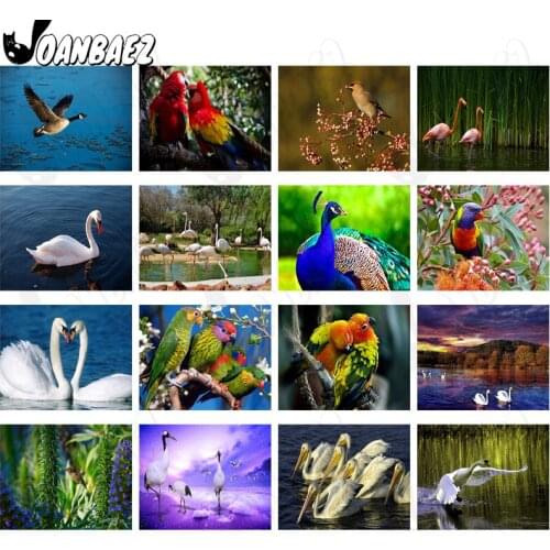 Parrot Bird Animal Diamond Painting 5D Diy Mural Swan Red-Crowned Crane Home Bedroom Room Decoration Accessories Gift