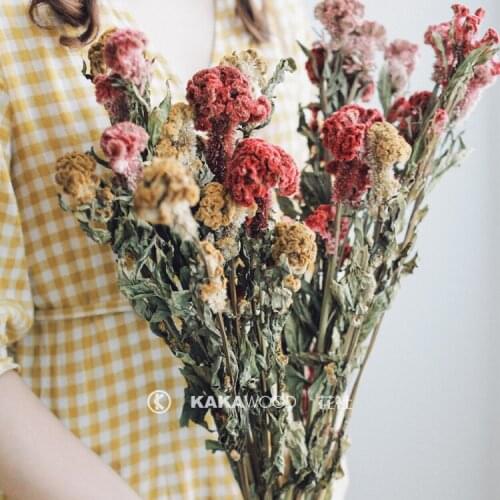 Vintage American Natural Dried Flowers Dried Flowers Flower Arrangement with Photo Photography Model Room Home Ornamental