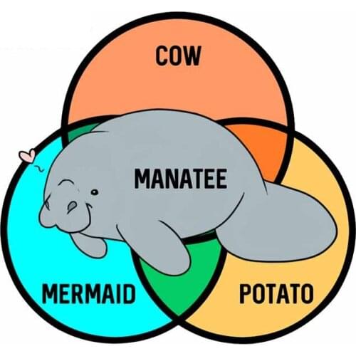 Creative Fine Letter Car Bumper Stickers Styling Decoration Door Body Window Vinyl Stickers Colorful Funny Auto Sticker K16*9cm