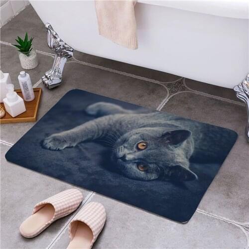 Lazy Cat Entrance Door Floor Mat Door Mat Rectangle Non-Slip Foot Pad Home Welcome Carpet For Hallway Bath Kitchen Doormat