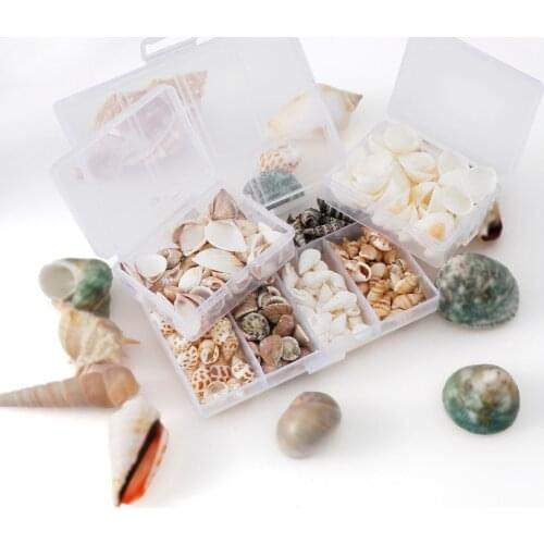 50g/103g Aquarium Beach Landscape Natural Seashells Decorations DIY Mixed Bulk Sea Shell Jewelry Crafts Wall Decor nail shell