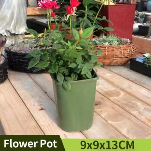 Garden Insect Net Butterfly Cage Mosquito Net Garden Plant Covers Plant Net Gardening Tools And Equipment Jardinage Potager