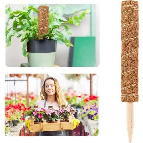 Extended Coir Moss Totem Pole, Coco Coir Poles Coconut Fibre Support Stake, Plant Support Pole 6PCS