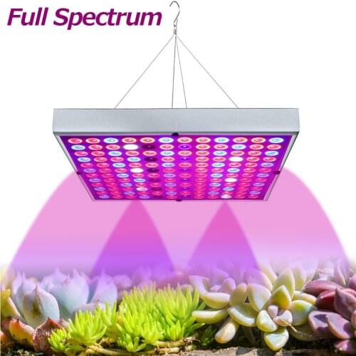 RANPO LED Plant Lamps