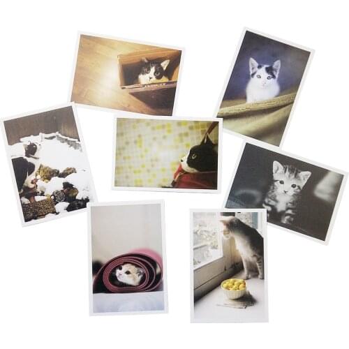 5sets/lot New Lovely Cats Postcard/Greeting Card/Wish Card/Christmas and New Year Gifts Free Shipping