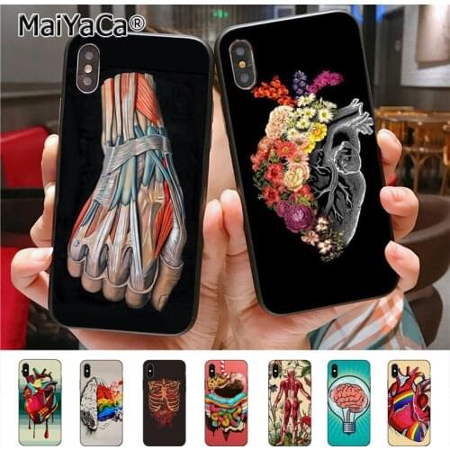 Medical Human Organs Brain Meridian Kidney High Case for iphone 11 12 Pro X Xs Xr Xs max 7plus 6 6s 7 8 8Plus 5 5S case 12mini