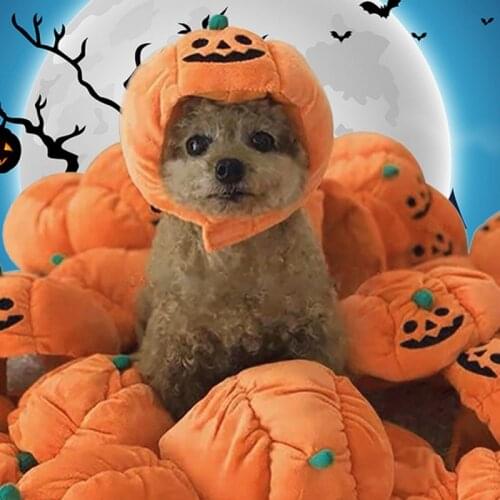 Cute Pet Dog Halloween Holiday Dress Up Pumpkin Hat Cheap Funny Pet Accessories For Dogs Hats Pets Funny Costume