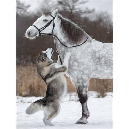 Animal Dog Husky DIY 11CT Cross Stitch Embroidery Kits Craft Needlework Set Printed Canvas Cotton Thread Home Wholesale
