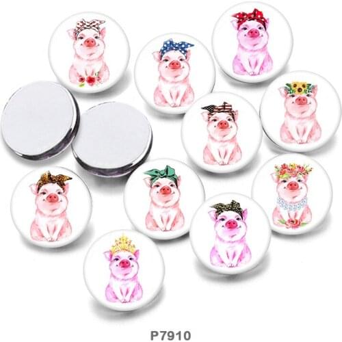 Pig 12mm/18mm/20mm/25mm/30mm Round Glass Cabochon Flat Back Making Findings P7910