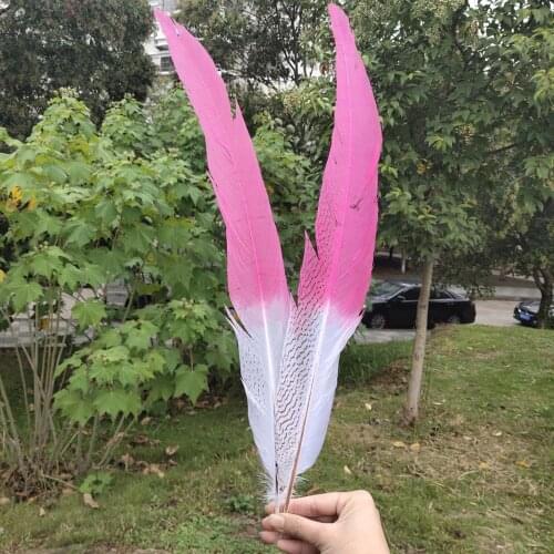 Hot Selling 50/100pcs Natural Silver Pheasant Feathers 60-65cm/24-26inches Stage Performances Decoration