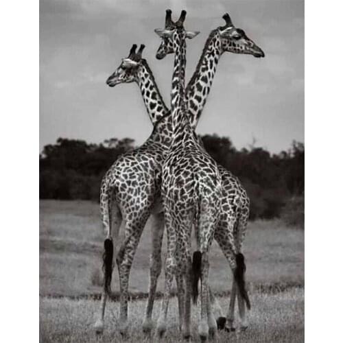 Full Diamond Painting Cross Stitch Giraffe DIY Diamond Embroidery Mosaic Diamond rhinestones Animal white black art Crafts GH515