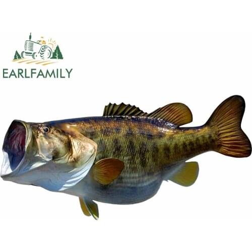 EARLFAMILY 13cm x 7cm Funny Largemouth Bass Mount Fish Car Sticker Marine Fishing Boat Motorcycles Boat Kayak Accessories Decal