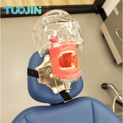 Head Model Dental Simulator Teeth Model Can Installed On The Pillow Of The Dental Chair Dentistry Root Canal Teaching Tools Kit