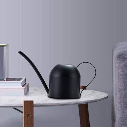 Stainless Steel Watering Can Potted Plants Watering Pot Jar Kettle Black