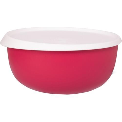 Tupperware Clover 4.3 L (Red)