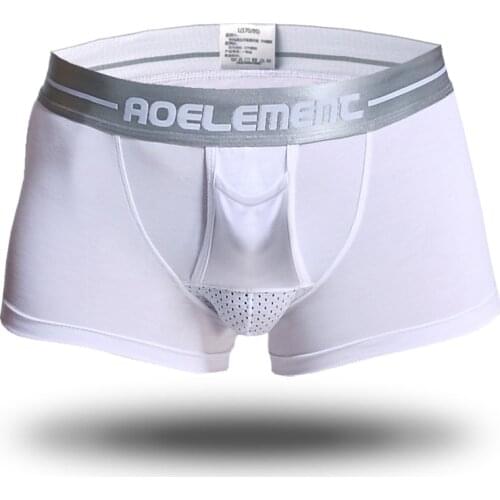 Modal Mens boxershorts Mesh Scrotum Care Capsule Function Youth Health Seoul convex separation Boxer Gay Men Underwear 5XL