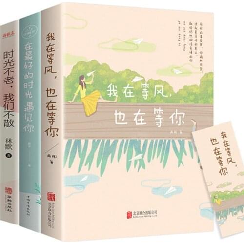 3 Volumes I Am Waiting for The Wind, Waiting for You, Urban Romance Novels, Youth Literary Novels, Youth Inspirational Classics