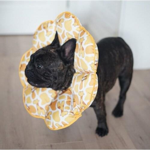 Pet Elizabeth Recovery Cones Cat Anti Bite Lick Wound Healing Flower Collar Cat Headgear Shame Ring Cat Lick And Bite Dog Collar