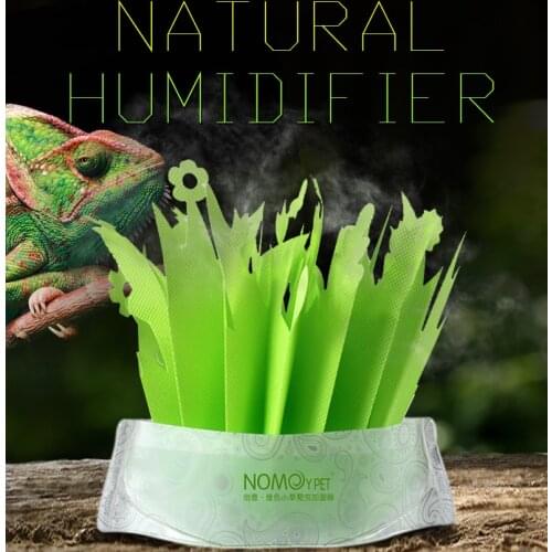 Pet Reptile Tortoise Lizard Terrarium Box Humidifier Without Electricity Moisturizing Natural Gasification Humidification