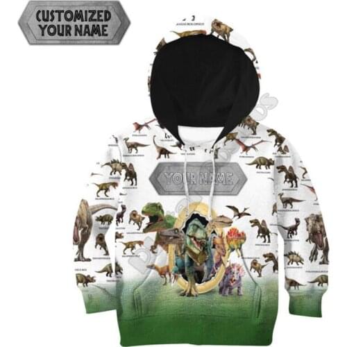 Love Dinosaur Customize your name 3d printed Hoodies family suit tshirt zipper Pullover Kids Suit Funny Sweatshirt Tracksuit 01