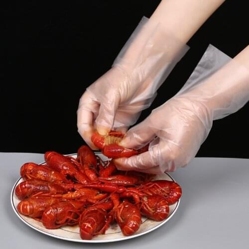 50pcs Food Plastic Gloves Disposable Gloves Restaurant Food Gloves Fruit Vegetable Gloves Kitchen Accessories