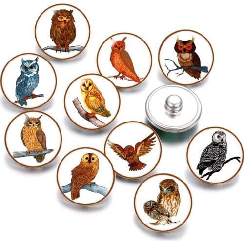 Lovely Owl Love 18mm snap buttons 10pcs mixed round photo glass cabochon style for snap button jewelry Fingdings Gift