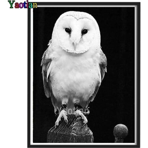Full Square Drill 5d Diy Diamond Painting Black and white artistic owl Cross Stitch Diamond Embroidery Mosaic Handicraft