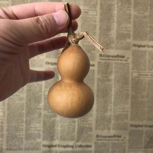 10PCS/Length4-5CM,Bottom3-3.2CM Real Dried Natural Plant Mini Gourd,DIY Dry Flowers For Christmas Decor,Home