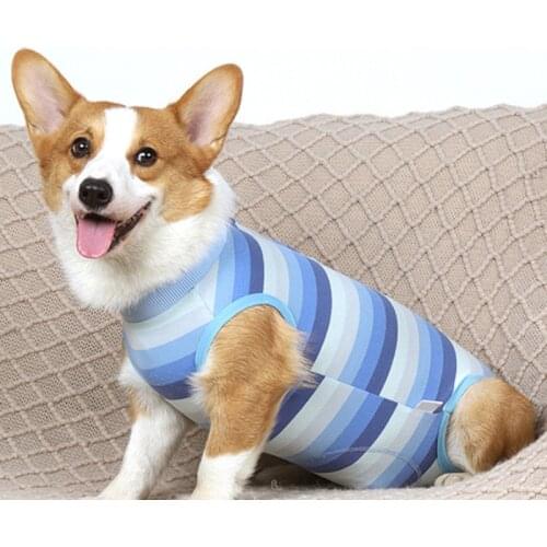 Pet Clothes Dogs Maintain Clothes Operation Recovery Suit Anti Licking Wounds After Surgery Surgery Suit Four-legged Jumpsuit