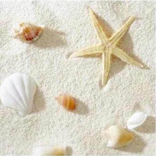 Aquarium decoration aquarium background fish tank decoration Philippine sand coral sand landscaping sand white sand shell