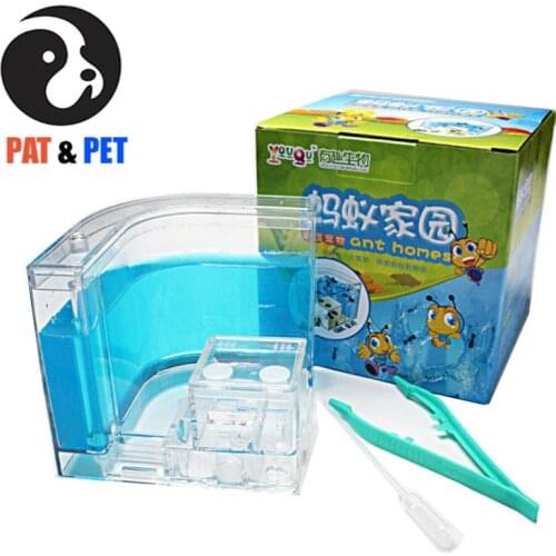 Ant Farm Acrylic With Eatable Gel Insect Ecology Box Science Educational Toy Ants Pet Reptile LED Ant Nest Class Room Item