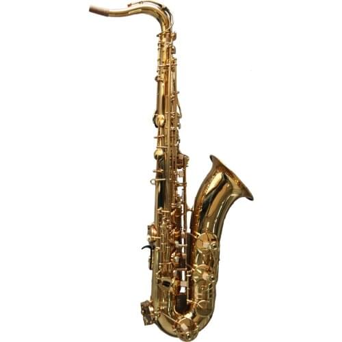 Professional Gold lacquer Tenor Saxophone