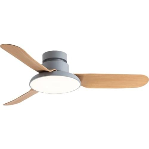 XIUXIU Modern Low Floor Ceiling Fan With Led Light Remote Control Dining Living Room Bedroom Nordic Simple Home DC Fan Light