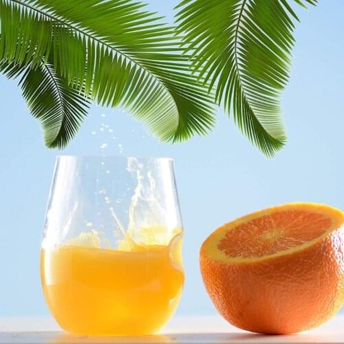 50LB 12 Pcs Disposable Plastic Wine Cups Unbreakable Clear Stemless Wine Glasses Set Shatterproof Recyclable Drinkware Home