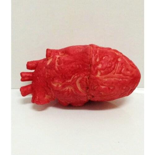 April Fools Day Halloween toys entire toy terrorist horror brain heart horror props toy