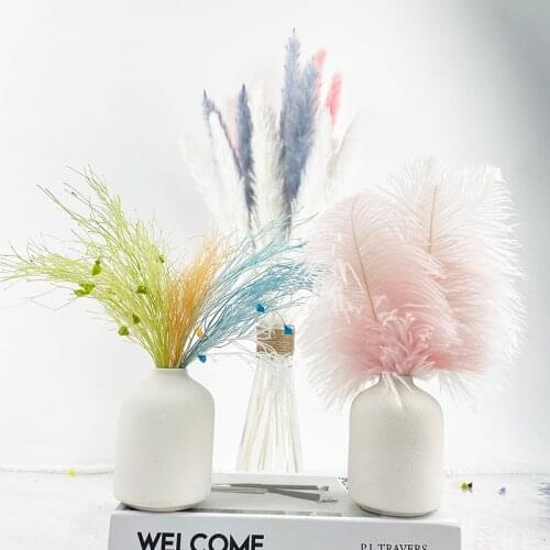 Dream grass pampas Dried Flowers Decorative Feathers Vase Decoration Home Design Birthday Party Decorations Wedding Accessories