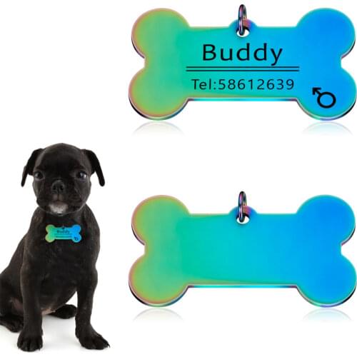 Gradient Color Engraved Cat Dog Pet ID Tag Dog Anti-lost Collar Charm Pet Name Bone Necklace Collar Puppy Cat Collar Accessory