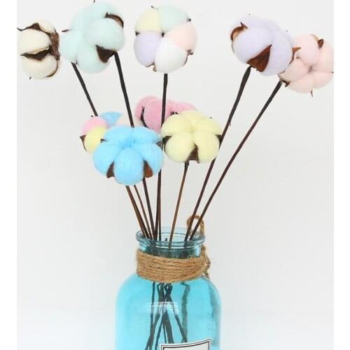 10pcs Natural Preserved Fresh Flower Cotton With Stem For Flower Arrangement Wedding Christmas Party Home Garden Decoration